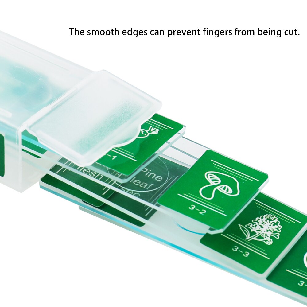 35 Piece of Colorful Microscope Specimens Biological Specimen Slides Primary and Secondary