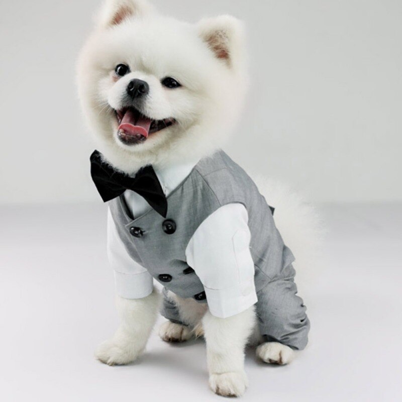 Chaleco de esmoquin para perro, traje Formal con pajarita para perros pequeños, medianos y grandes, traje de caballero para mascotas, boda, de cumpleaños