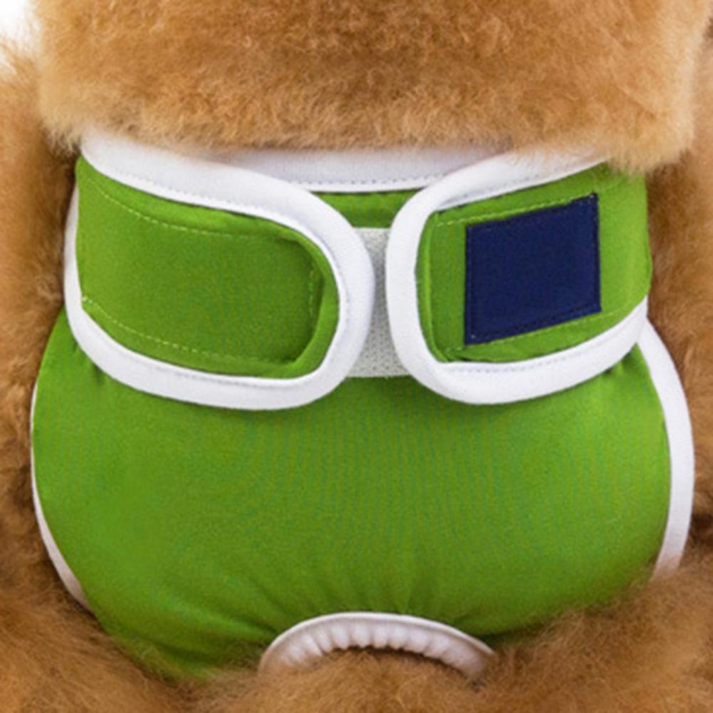 Mooie Hond Menstruatie Ondergoed Ademend Fysiologische Slipje Pet Supply