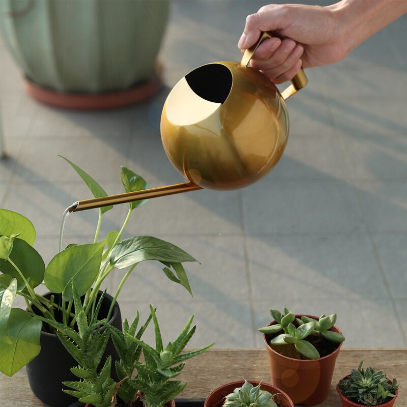 SDJMa Stainless Steel Watering Can With Long Spout Modern Style Pot 1 5l Metal With To Prevent Spillage Perfect Plant For Outdoor And Indoor Plants