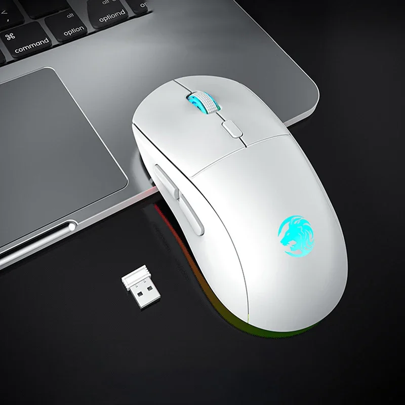 Eweadn g301 2,4g drahtlose Bluetooth-RGB leichte Maus 3200dpi ergonomisches für Esport-Spielen-Notizbuch-Gamer-Zubehör: Weiß