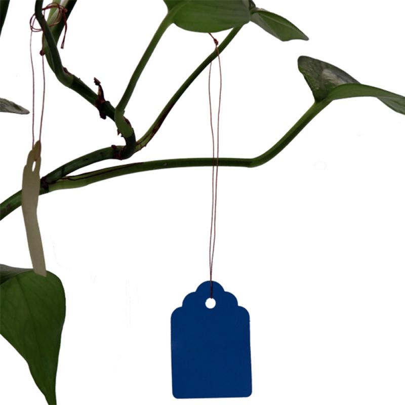 100pcs Plants Hang Tag Labels And Brands Seedling Garden Flower Pot Plastic Tag Number Plate Hanging Reusable: 1