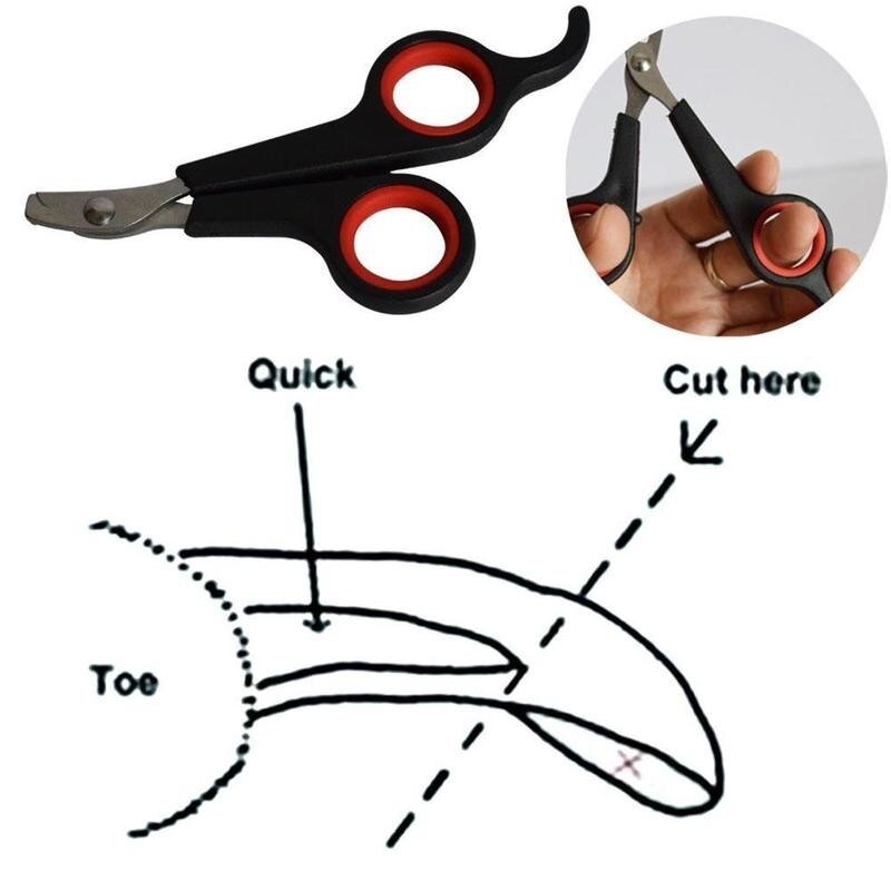 Pet Nail Clippers Cutter Trimmer Scissors for Dogs Cats Birds Guinea Pig Animal Claws Paw Cutter Bird Parrot Shear Animal