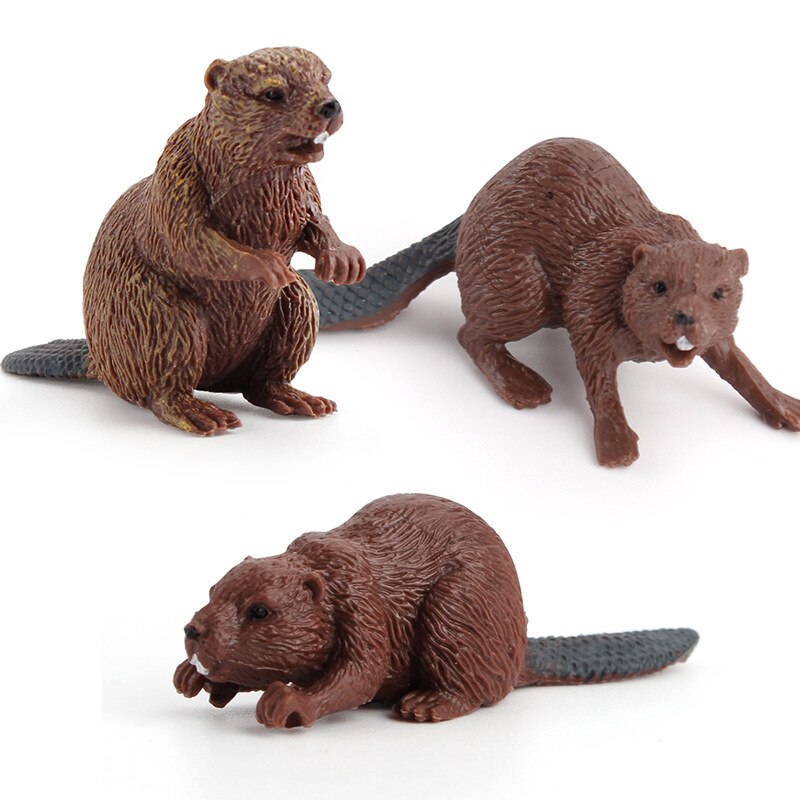 Bever Model Kinderen Vroegschoolse Cognitieve Wild Dier Model ... – Vicedeal