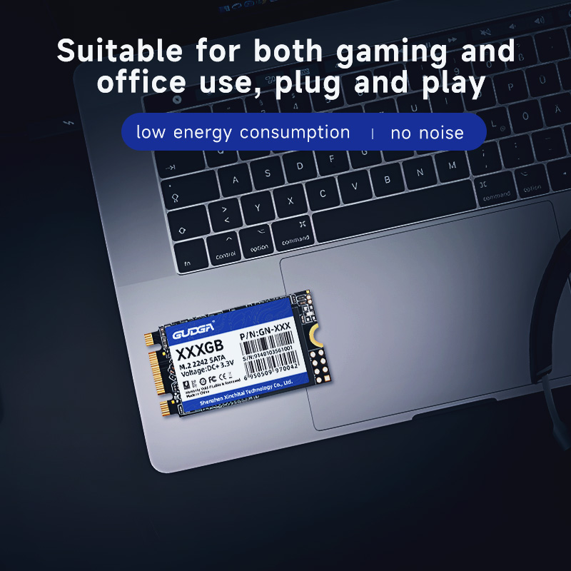 GUDGA M2 SATA 2242 SSD SATA3 128 GB 256 GB 512 GB NGFF Interne Solid-State-Festplatten TLC für Laptop Destop Thinkpad