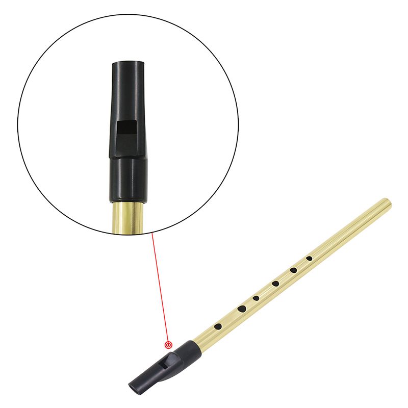 Silbato irlandés flauta irlandesa silbato de estaño clave de D Penny silbato 6 agujeros flauta Chanter Mini bolsillo instrumento Musical oro