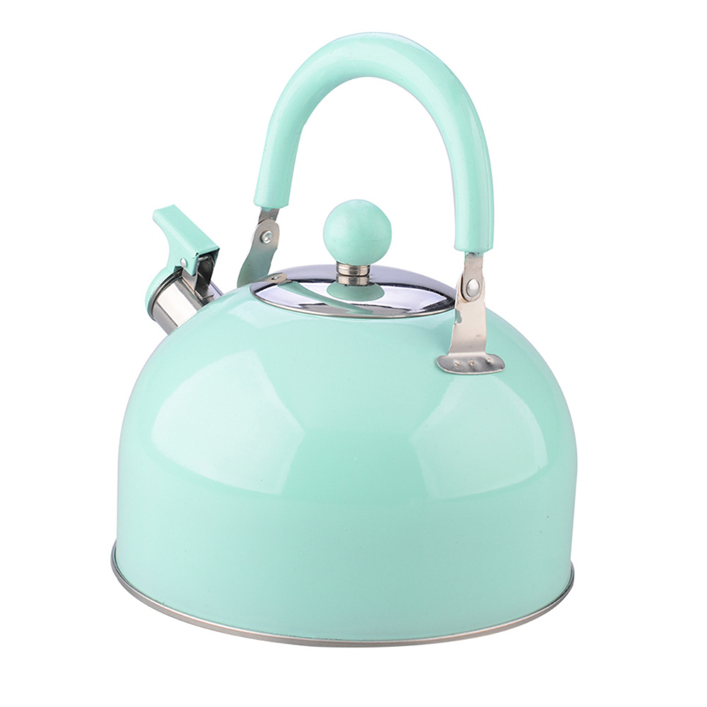 Bouilloire en acier inoxydable 2.5L Portable épaissi couleur intestinale dôme plat cuisinière à gaz bouilloire ménage maison cuisine moderne chaude: Vert clair