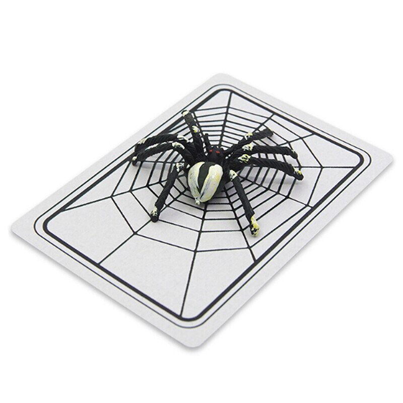 1 Set Goochelaar Gimmick Magic Illusie Gesloten-up Magic speelgoed Spider en Net De Web Truc Kaarten Magic props Goocheltrucs Speelgoed