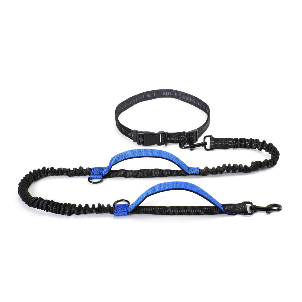 Pet Dog Running Leashes Reflective Traction Rope Belt Elastic Hands Freely Jogging Pull Dog Leash for Medium Large Dog Supplies: Blue-padded handle