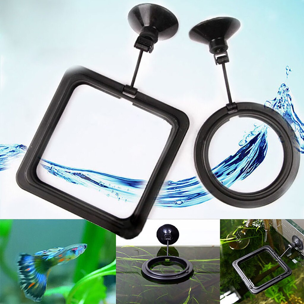 Fish Feeding Aquarium Fish Tank Ring Fish Tank Station Floating Food Tray Feeder Square Circle Accessory Aquarium Fish