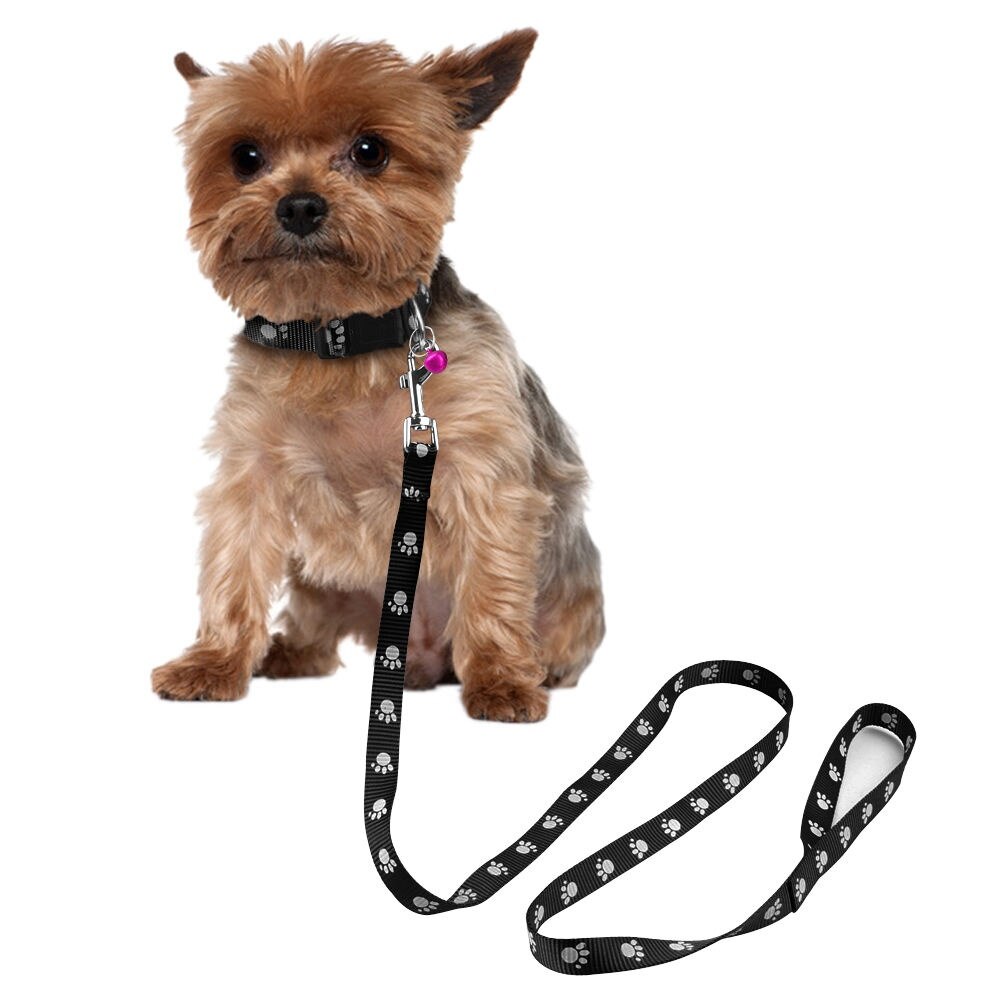 1.0 cm Nylon Kleine Hond Puppy Kraag en Lood Set Pootafdruk Leuke voor Yorkie Chihuahua