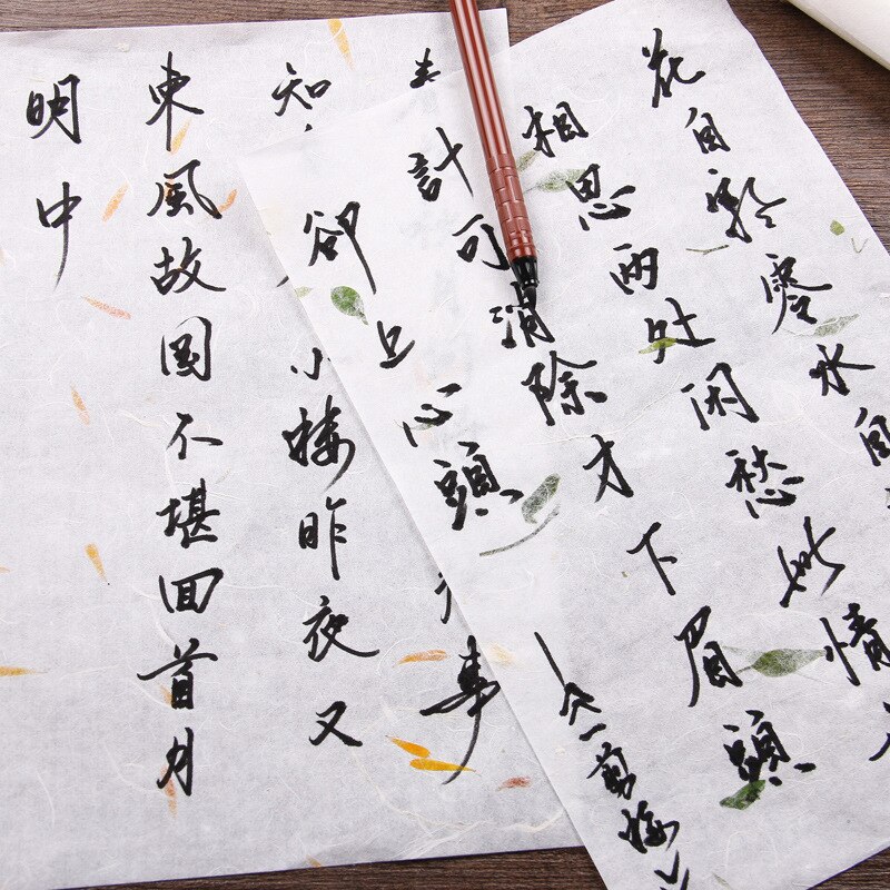 10 Stks/set Chinese Xuan Papier Schilderij Kalligrafie Schilderen Papier Chinese Stijl Vintage Letters Briefpapier