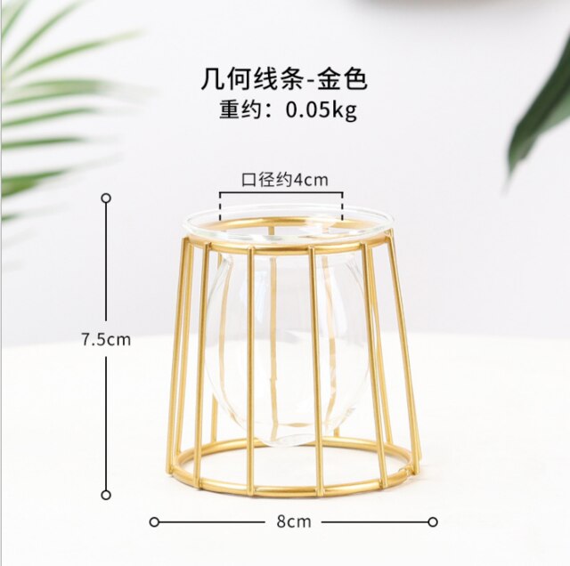 Soportes de Metal para plantas de aire, contenedores de arte del hierro de estilo moderno para cultivo de flores y agua: F