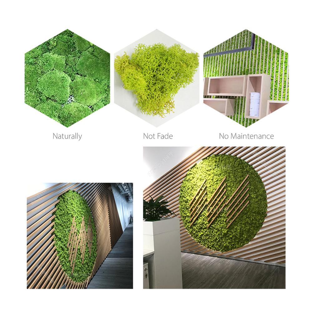 Preserved Moss Wall Decor Real Preserved Moss No Maintenance Required Naturally Preserved Moss Home Wall Party Festivals Crafts