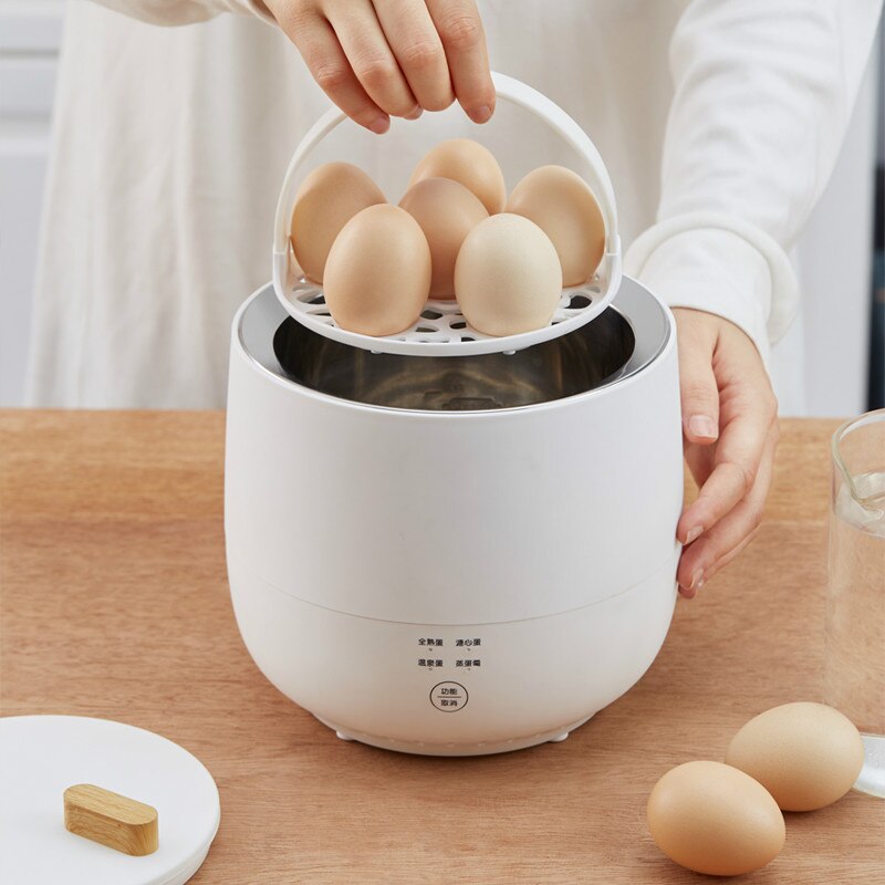 220V Electric Egg Cooker Household Breakfast Maker Multi Egg Custard/Hotspring Egg/Poached Egg/Boiled Egg Steaming Cooker