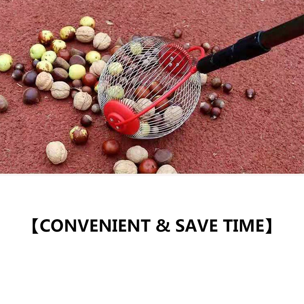 Nut Collector Head Red Nut Gatherer Strong Sturdy Durable Fruit Picker Rolling Harvester Golf Collector Garden Tool