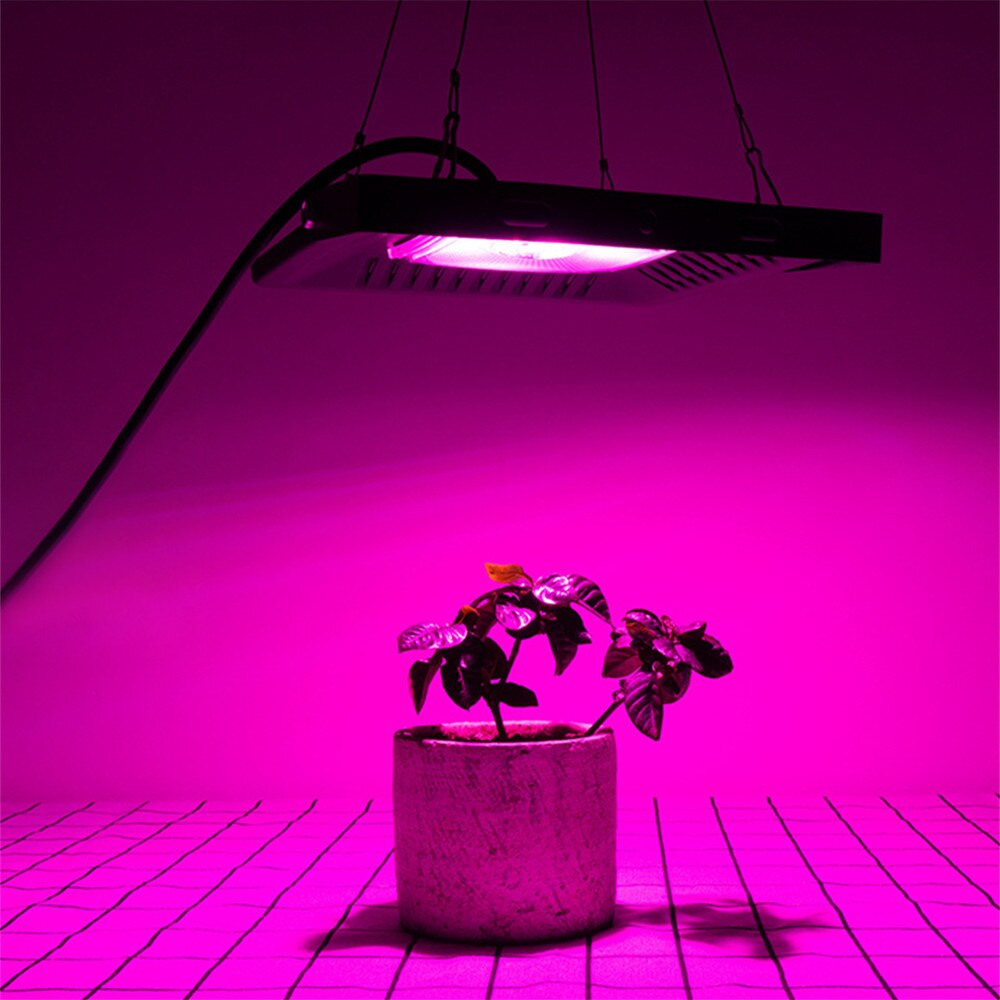 COB 50W 100W 200W 300W Led Grow Light Full Spectrum Ultra-Thin Waterproof IP67 Growing Lamp for Vegetable and Bloom Indoor Plant