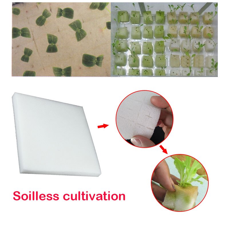 Polyurethane Sponge Durable Vegetable Cultivation for Agronomy