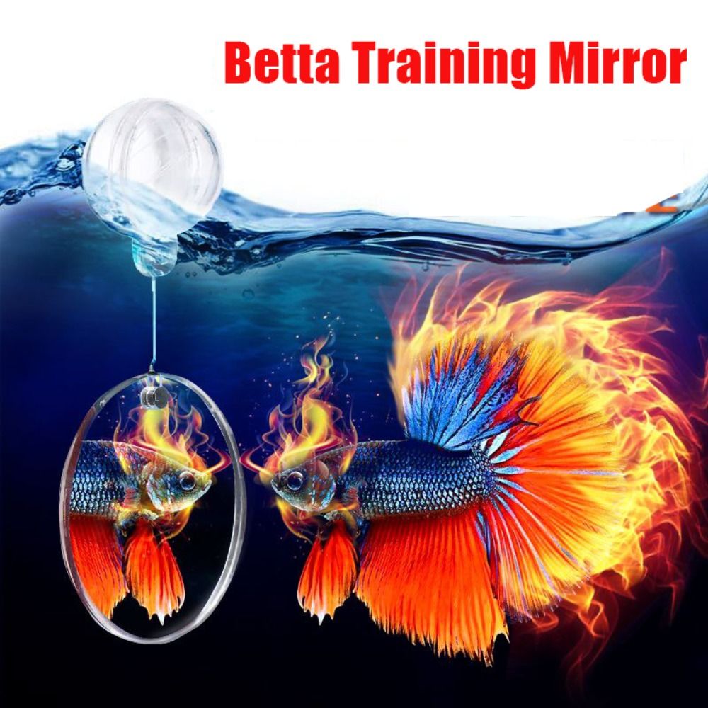 Betta Training Spiegel Vis Tank Decoraties Dubbelzijdige Betta Spiegel Modellen Poppenhuis Plastic Aquarium Fishtank Ornamenten