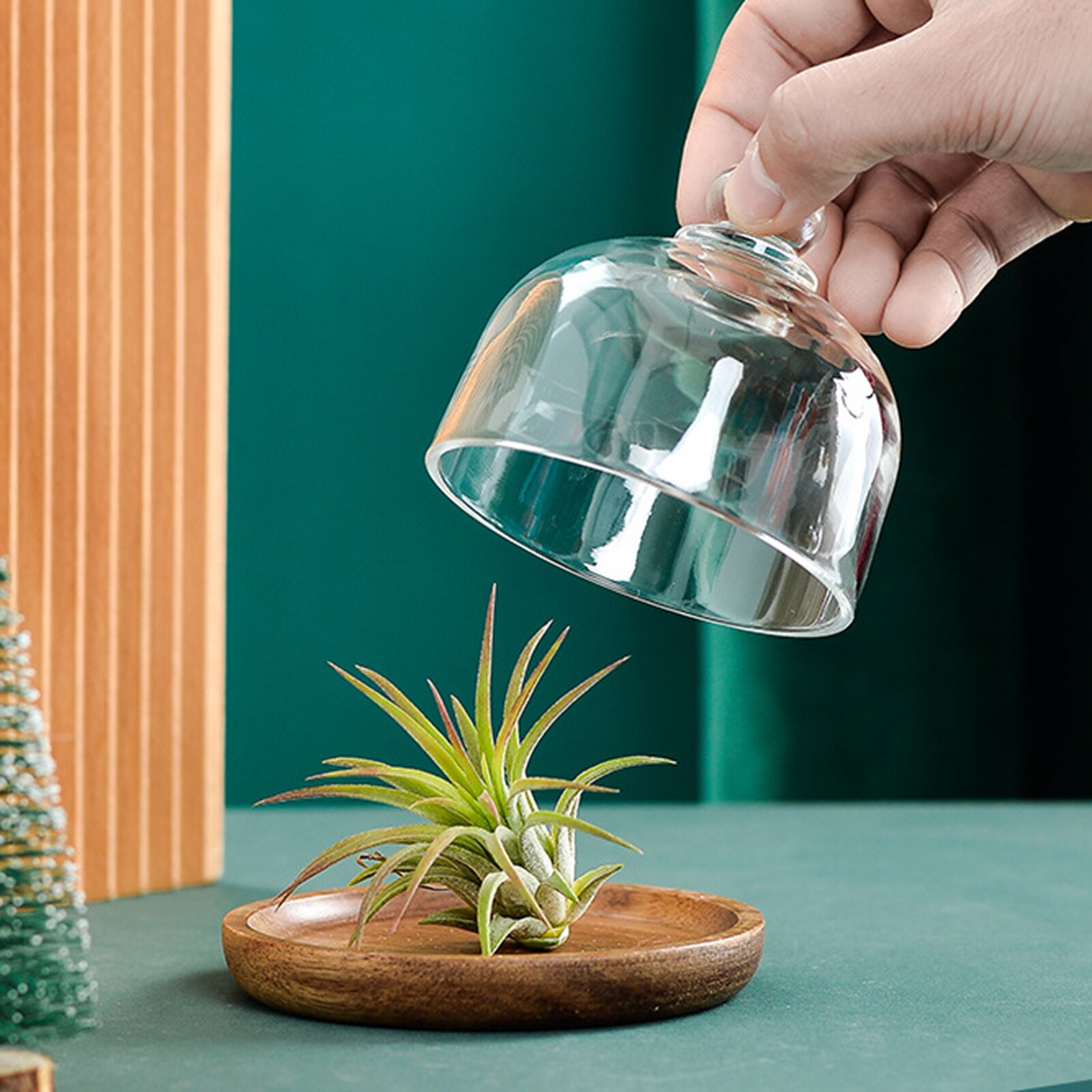 Houten Cake Stand Met Glas Doom Cover Multi-Functionele Serveerschaal Taart Plaat Slakom DC112