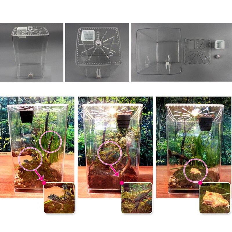 Krybdyr fodring boks pet terrarium fodring tank gennemsigtig akryl krybdyr avl cagebox edderkop scorpion lampe inkubation led