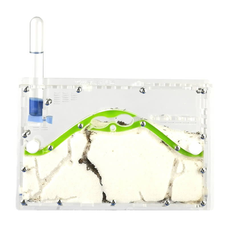 ant hill Transparent Acryl Ant Farm,Natural Ecological Insect Ant House SandCastle Ants Nest, pet mania for house ants
