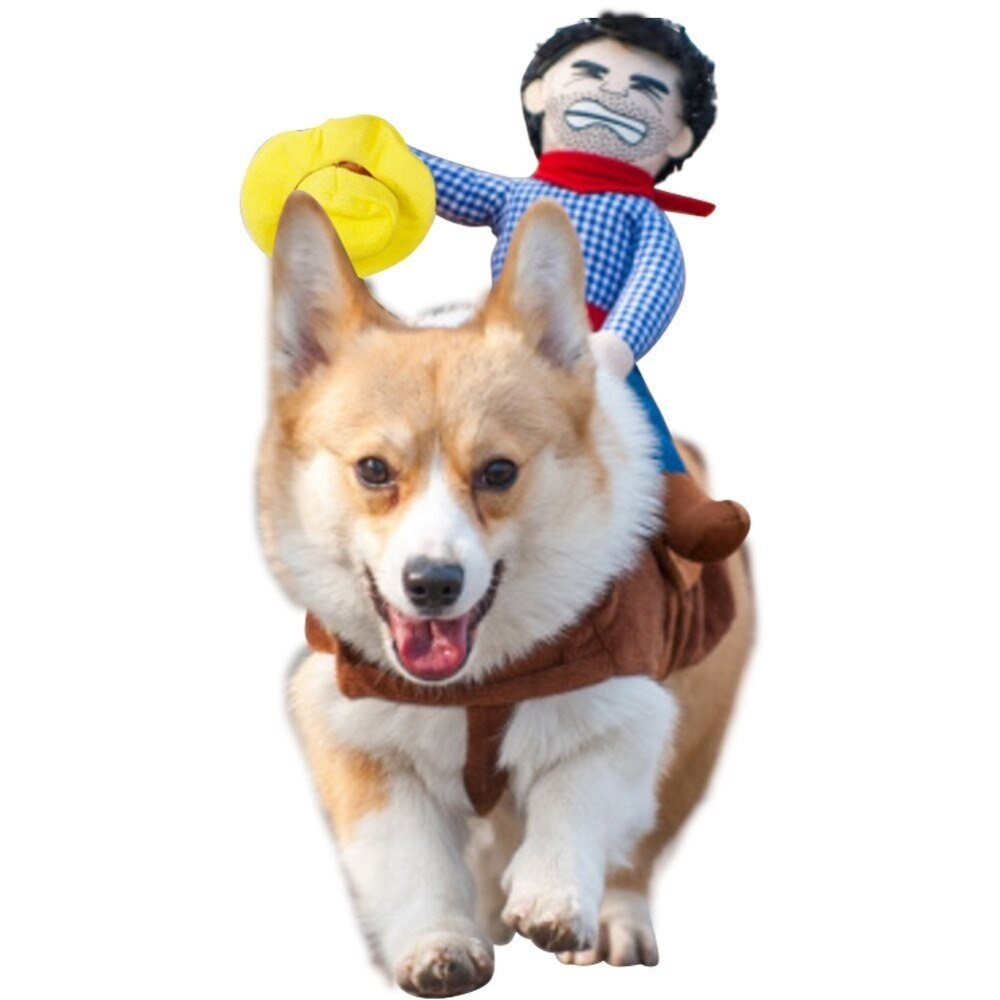 Chien vêtements chat Halloween drôle Costume fournitures pour animaux de compagnie équipement d'équitation robe petit moyen chien justaucorps manteau vêtements jeu de rôle: Cowboy / S