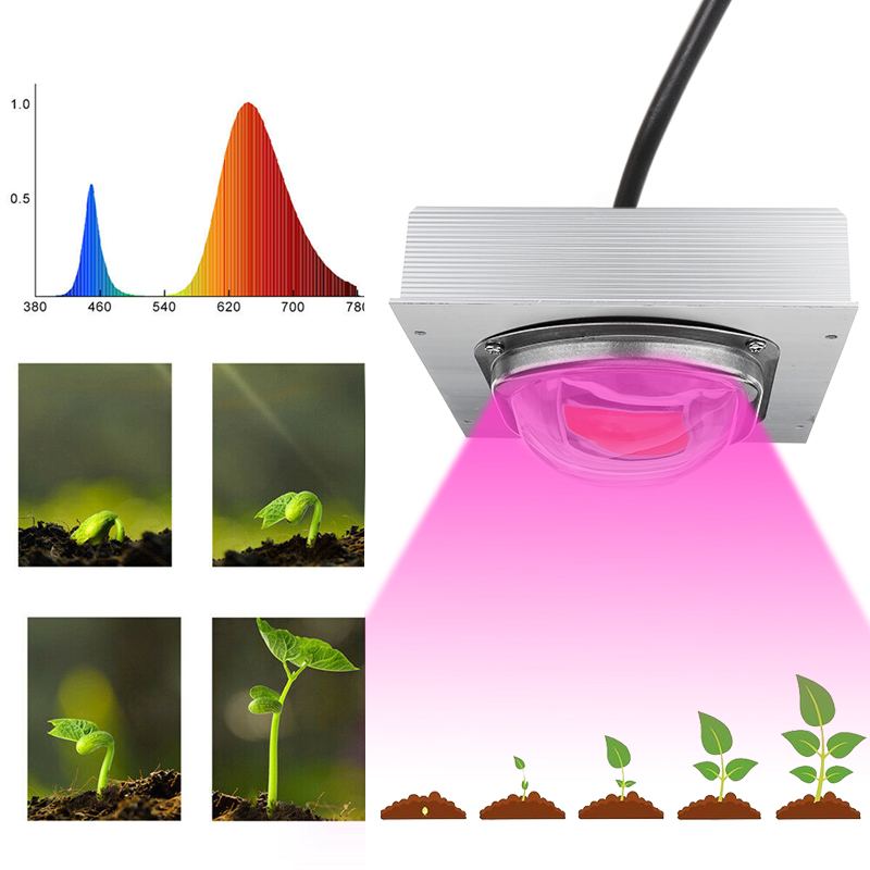 Høj par cob led vokse lys fuldt spektrum 200/300/500w led plante vokse lampe med glas linse til drivhus hydroponisk plante