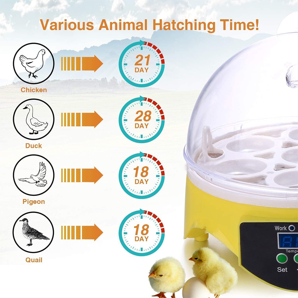 7 huevos de pollo incubadora para aves huevos Rack bandeja para incubar máquina automática de Control de temperatura inteligente de incubación Brooder