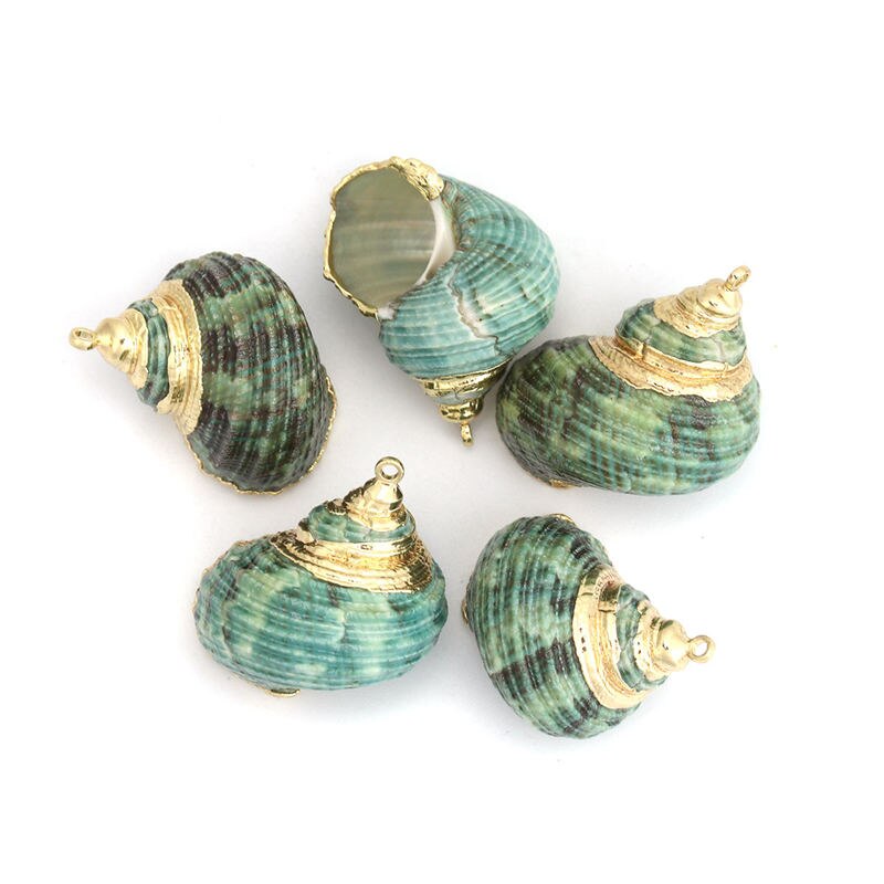 5 PCs Natural Shell Pendants Gold Conch/ Sea Snail Multicolors Charms For DIY Handmade Jewelry Making: 6