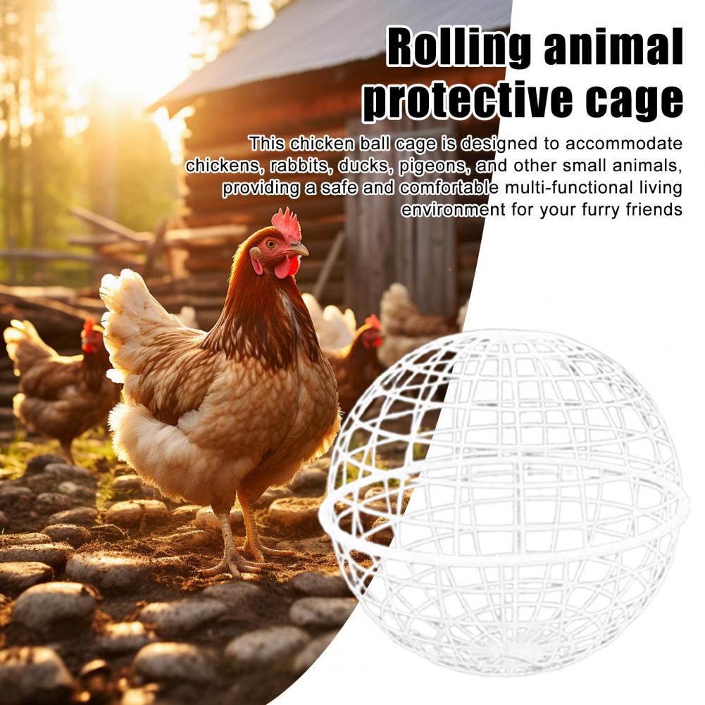 Ball Shaped Movable Chicken House Rollable Poultry Enclosure Round Hutch Plastic Chicken Rolling Cage for Chicks Rabbits Birds