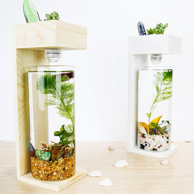 Desktop Fish Tank Home Desk Ecological Microscopic Fleshy Thai Aquarium Plastic