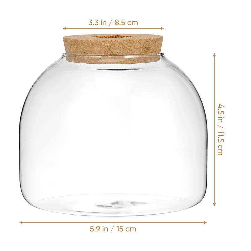 Kurk Glazen Fles Plant Terrarium Grote Micro Landschap Bloempotten Ecosysteem Kleine Container Beugel Koekjestrommel Kantoor