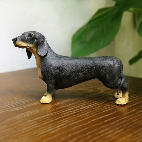 JJM-figura de perro Dachshund Dackel Teckel, coleccionista de mascotas, decoración de coche, Animal de juguete, modelo educativo de PVC para niños, adultos y niños,