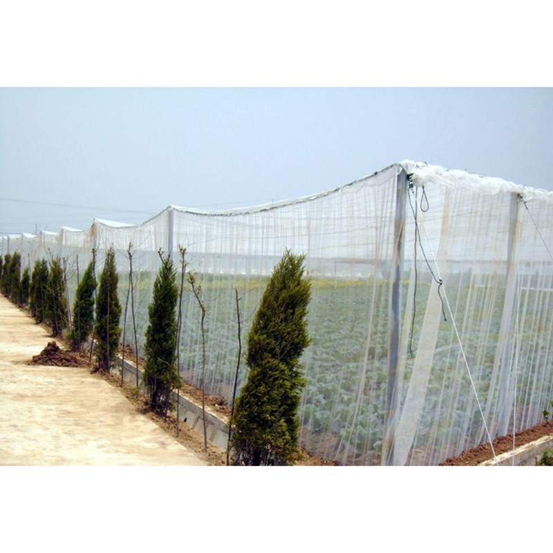 Malla de 40 para invernadero de 2x5m, mosquitera para jardín, fruta, vegetales, red de protección, cubierta para planta