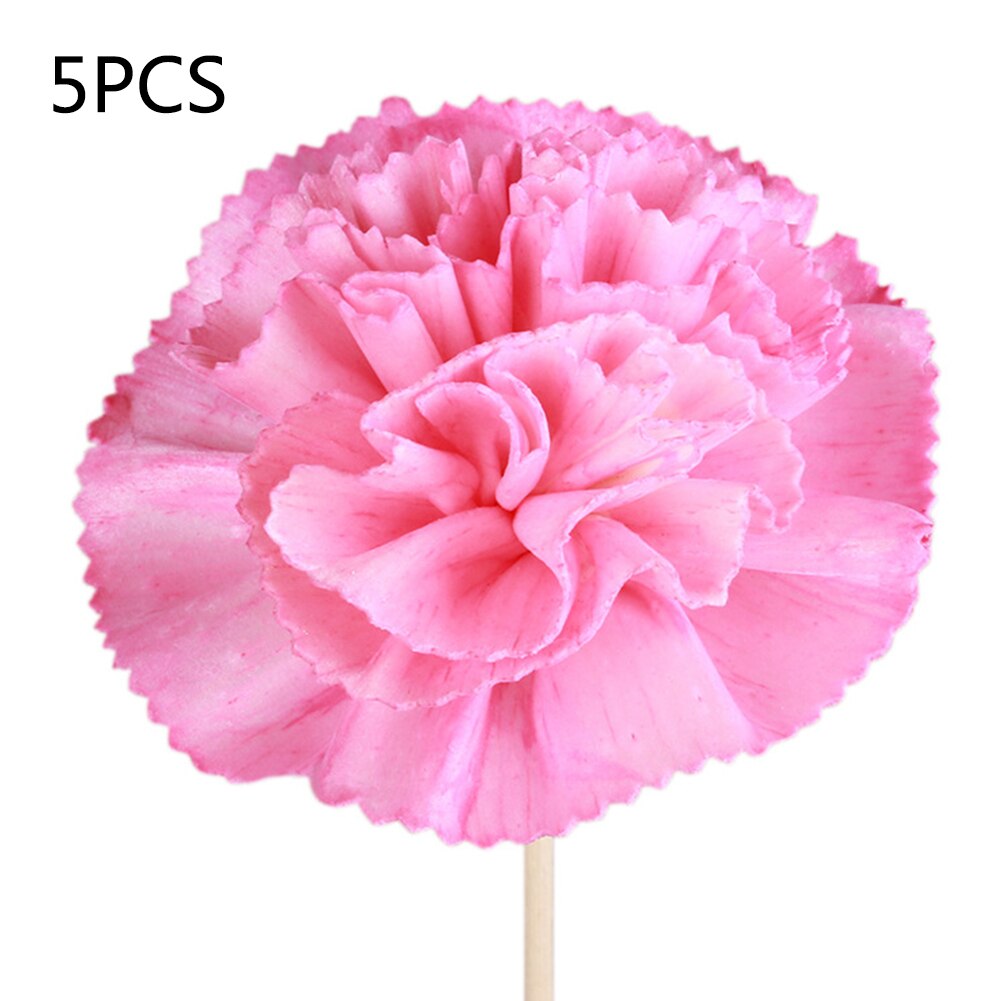 5pcs Kunstmatige Bloem Golvend Rotan Reed Fragrance Diffuser Vervanging Refill Sticks Luchtverfrisser Kamer Parfum Diffuser Sticks: A11