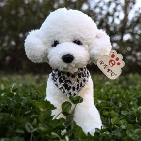 Mooie Hond Mannequins Huisdier speelgoed Teddy Hond Pluche Speelgoed Pop Woninginrichting Dressup