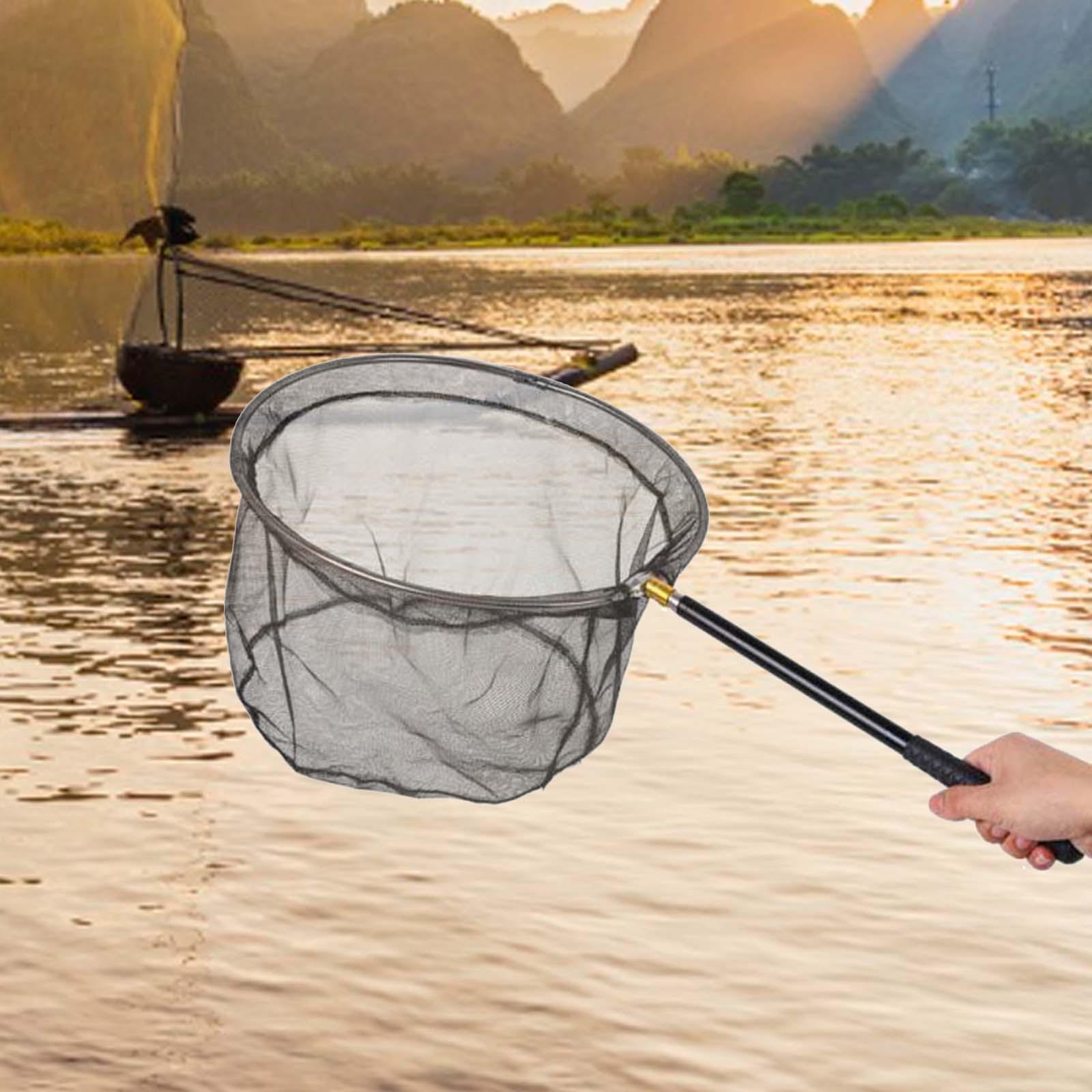 Vislandingsnet Intrekbaar Voor Vlinderratfinks Die Meerval Verzamelen