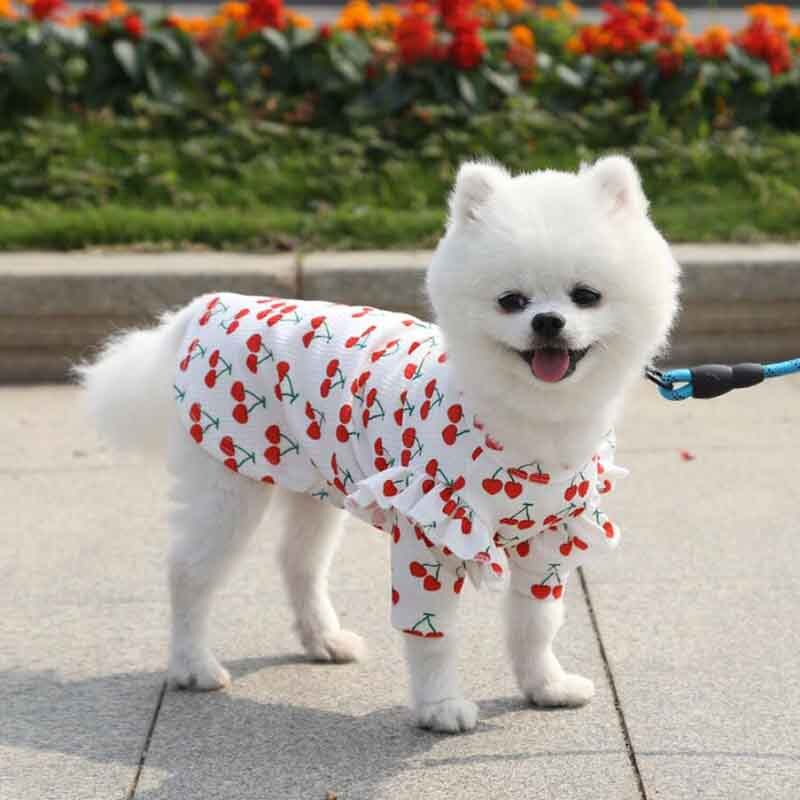 Colete de cachorro para cachorro, s/m/g/gg, fleece de inverno, quente, desenho, amarelo, roupa de cachorro para cachorro pequeno, camiseta para escolher