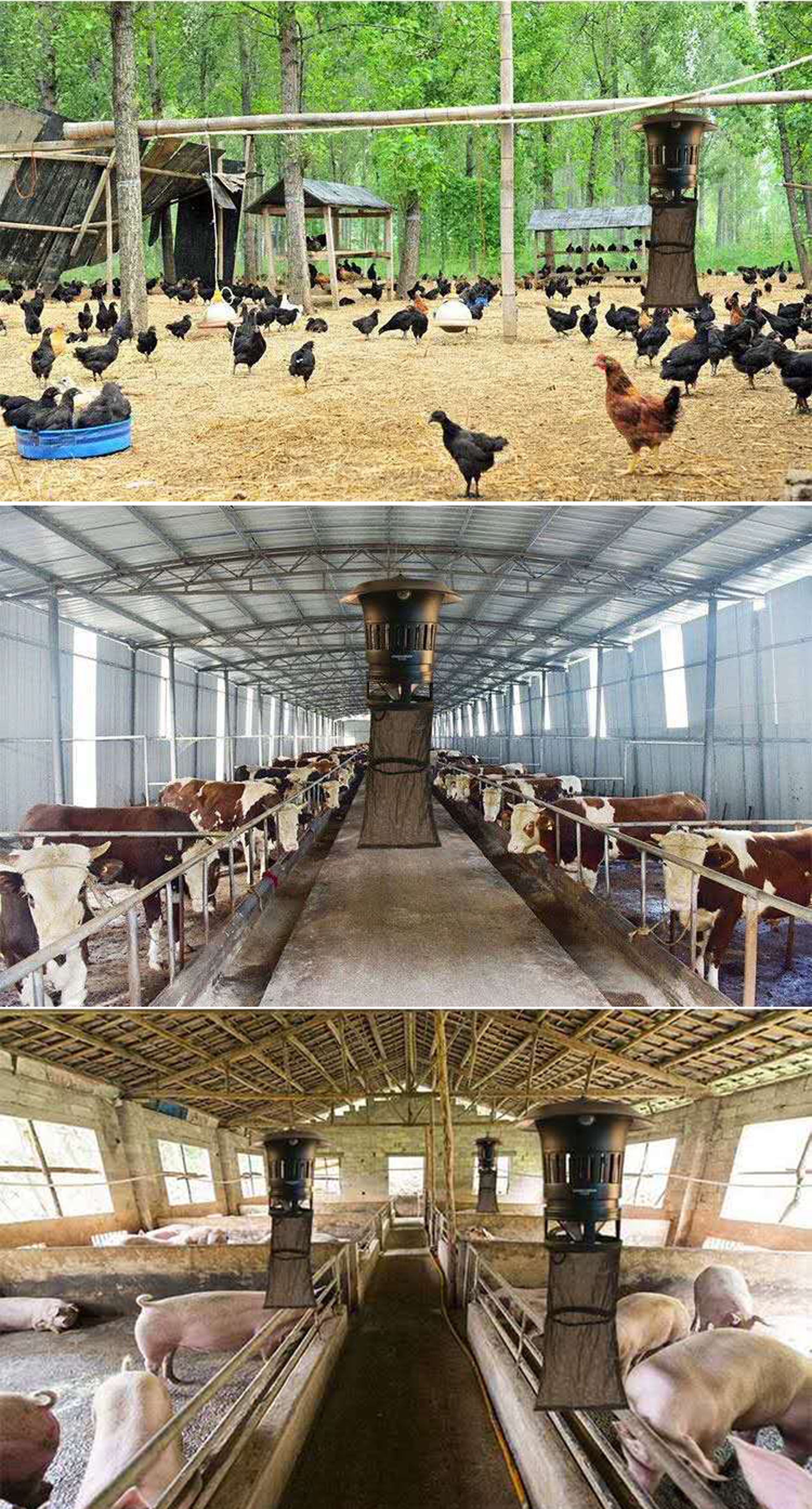 Farm Animal Breeding In Summer Outdoor Mosquito Killer Light Catalyst Mosquito Trap Pig Cattle Breeding Outdoor Mosquito Killer