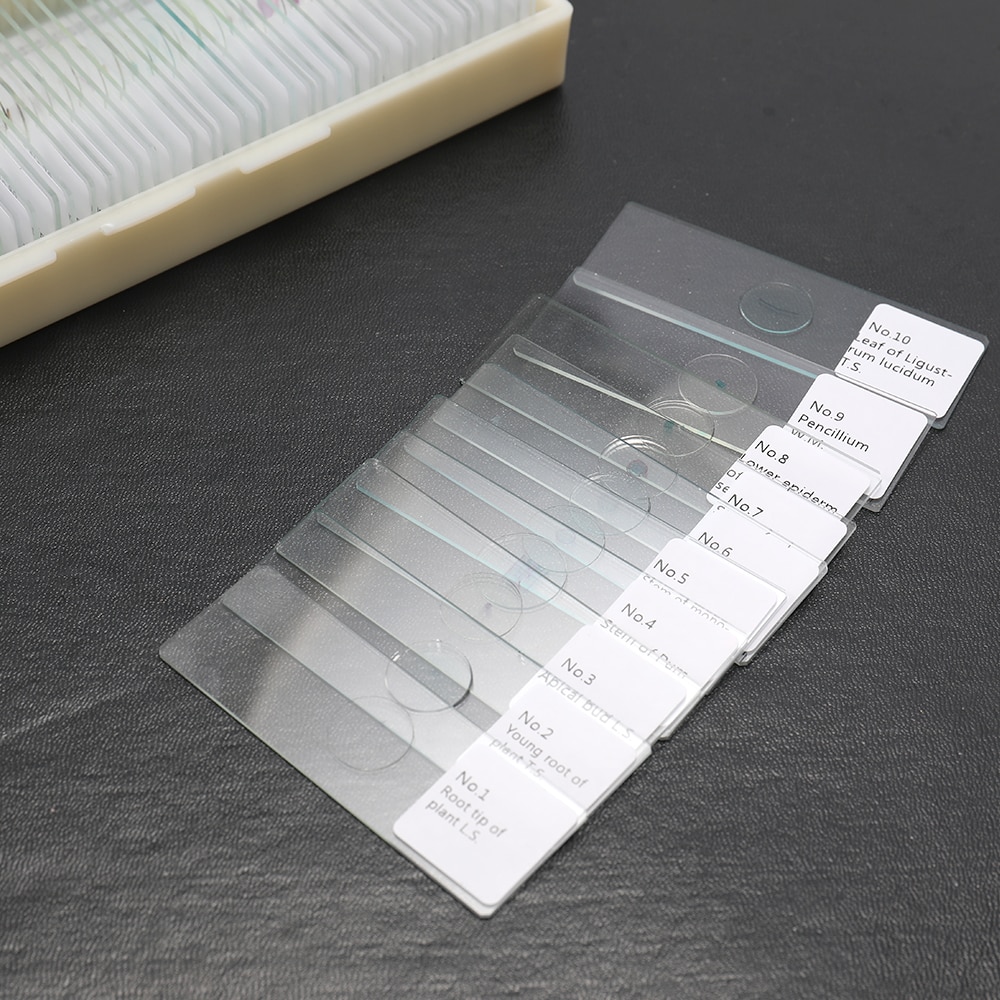 100Pcs Coverslips Glass Animal Plants Insects Glass Sample Science Specimen Cover Slips Microscope Slides Parts and Accessories