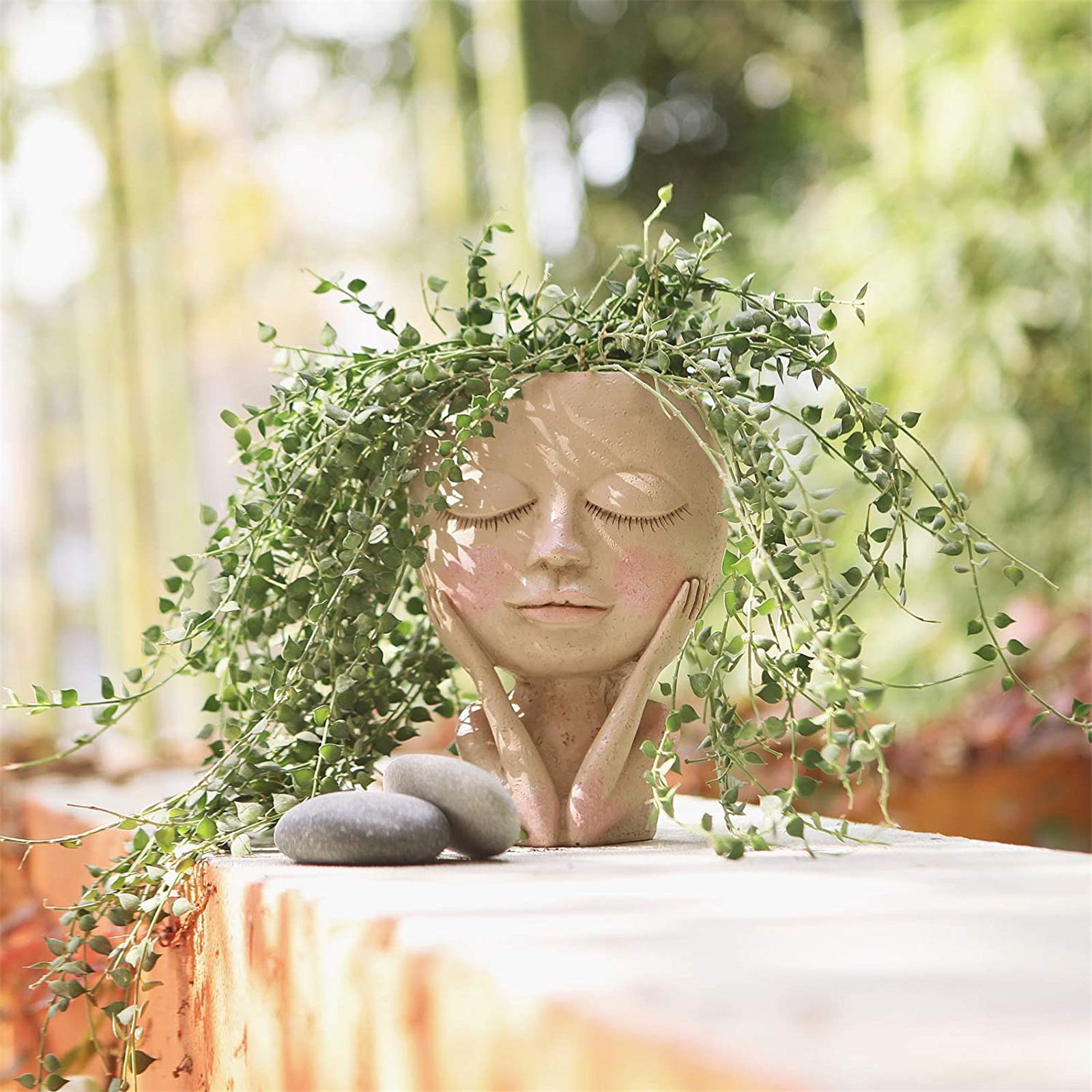 Piger ansigt hoved blomsterplanter sukkulent plante blomsterbeholder potte urtepotte figur havedekoration nordisk bordplade ornament