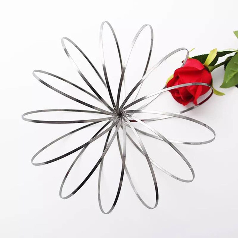 Magic Ring Toroflux Torofluxus Flowtoy Amazing Flow Rings Toys Kinetic Spring Toy Funny Outdoor Game Intelligent Toy Fidget: 201 Silver No Box