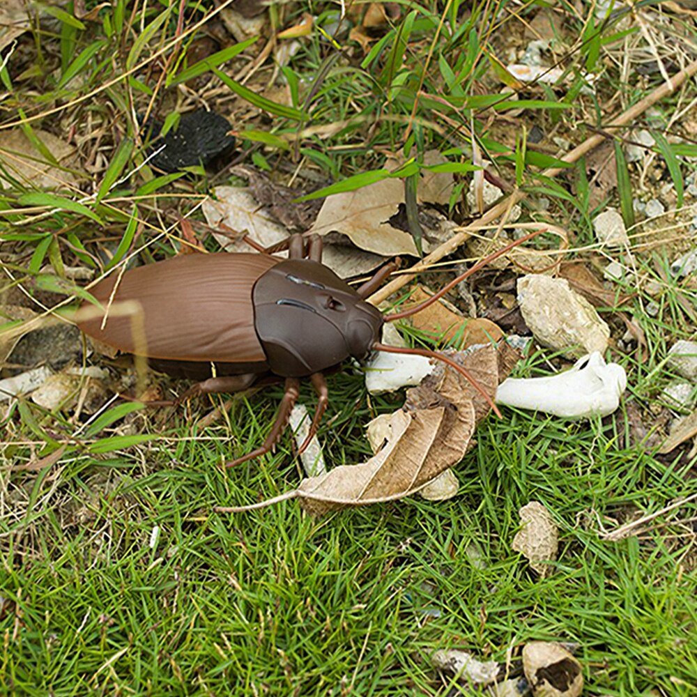 Jouet pour blague d'insecte, 1 pièce, effrayant, caniche en mouvement, Animal RC, Horrible, électricité, faux cafard, d'halloween
