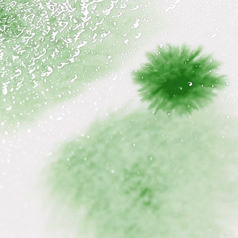 300g Watercolor Paper 100% Cotton 10Sheets Hand Painted Water-soluble Watercolour Drawing Paper for Artist Student Art Supplies