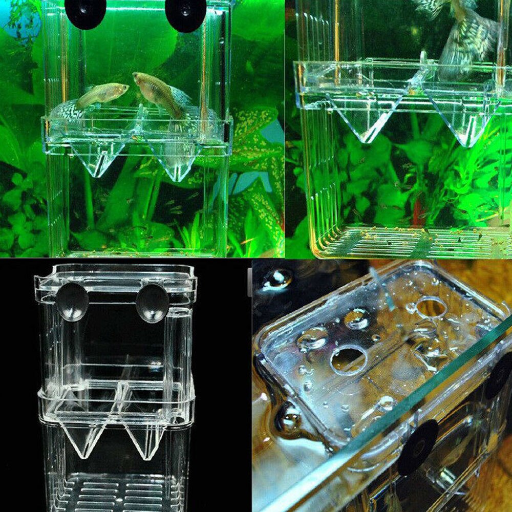 Clear Acrylic Fish Breeding Isolation Box Fish Tank Aquarium Breeder Box Double Guppies Hatching Incubator Aquarium Pet Supplies