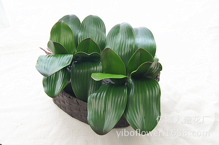 1pcs Real touch phalaenopsis leaf artificial plant leaf decorative flowers auxiliary material flower decoration