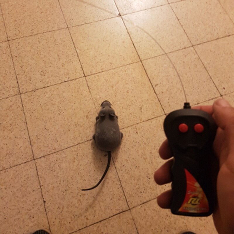 Rc Grappig Draadloze Elektronische Afstandsbediening Muis Rat Pet Speelgoed Voor Kinderen Grappige Kat Afstandsbediening Muis