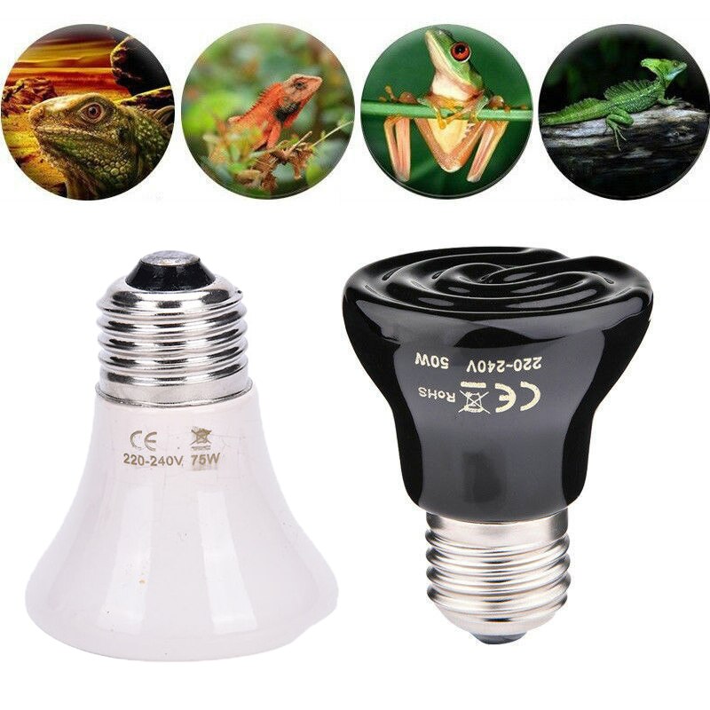 Ampoule de lampe en céramique, 25-100W, transmetteur de chaleur, pour élever des reptiles