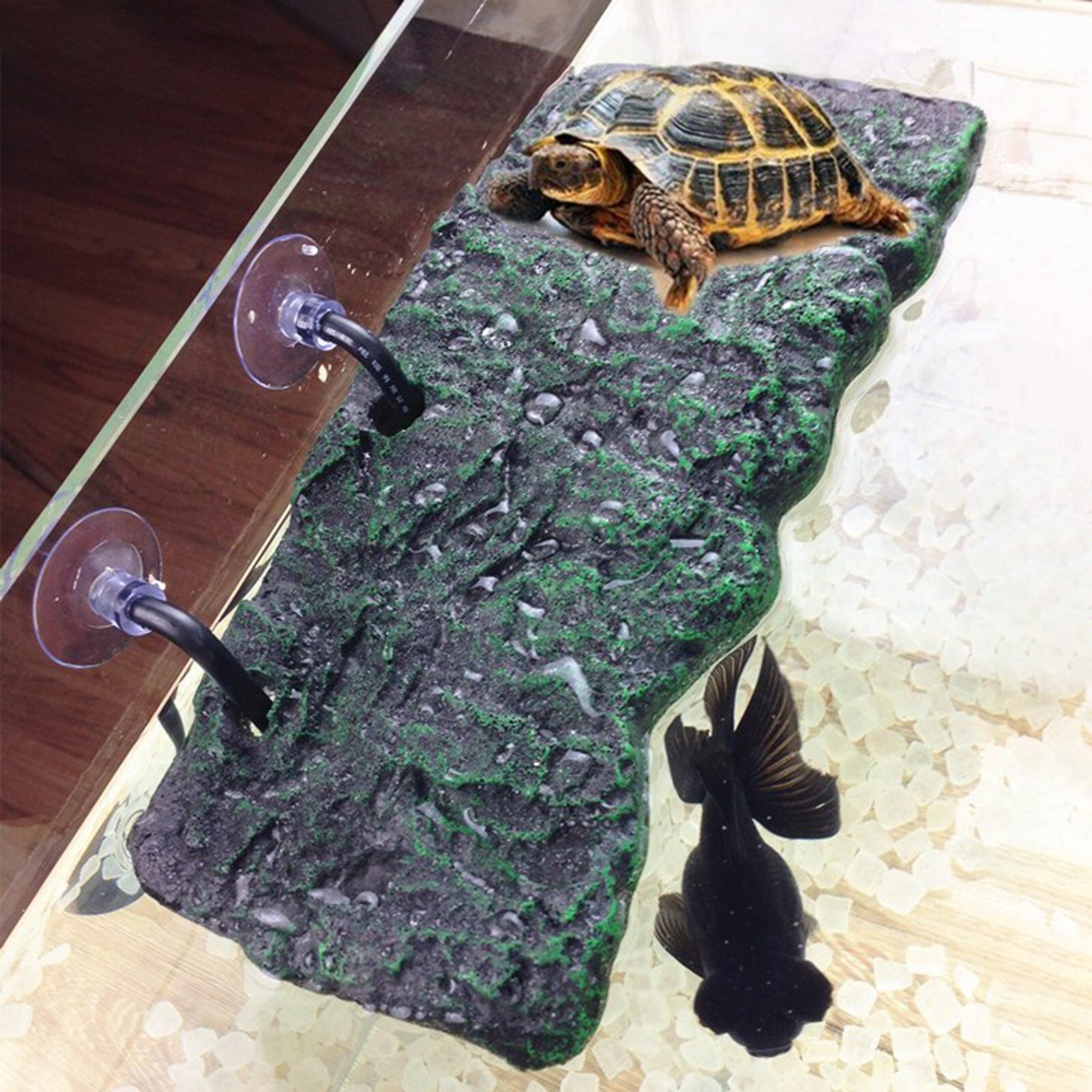 1 Set Schildpad Terras Schildpad Eiland Drijvende Eiland Eenvoudige Installeren Bakeliet Amfibie Klimmen Platform Voor Vis Kom